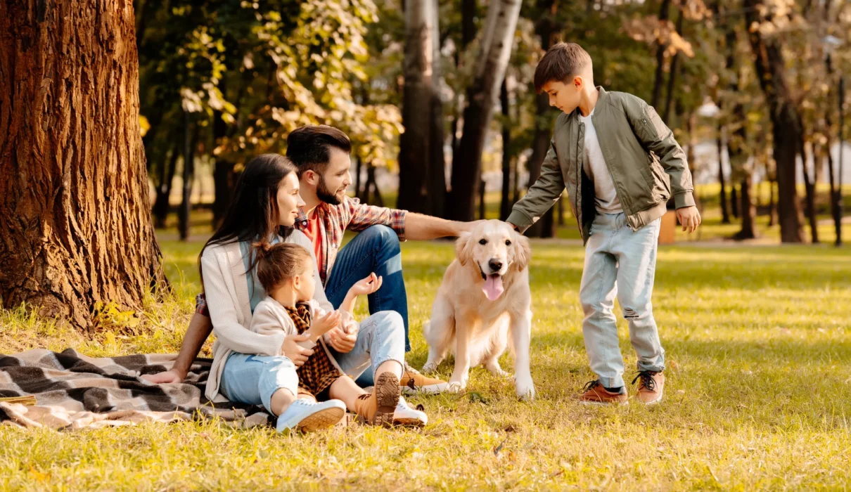 cabinet richard assurances particuliers