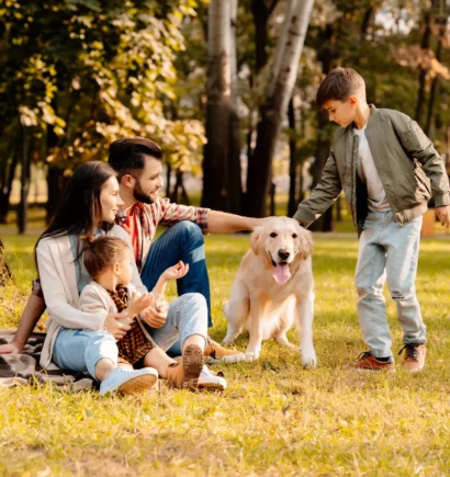 cabinet richard assurances particuliers